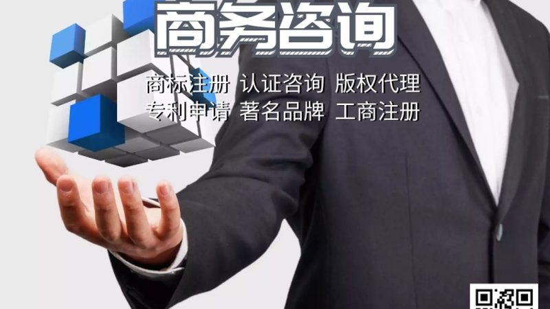 上海政府项目可研报告：价格背后的考量因素